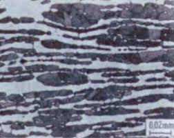 Mikroštruktúra austeniticko-feritickej koróziivzdornej ocele